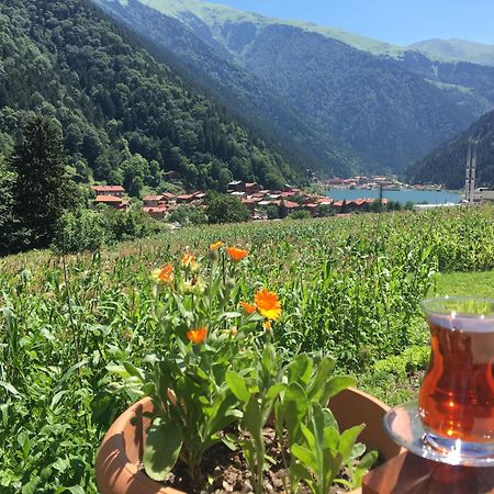 Zeren Pansiyon Kamalac Exterior foto